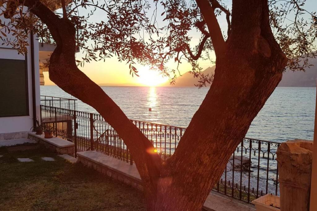 Villa Francesca-Grande Appartamento In Riva Al Lago ブレンゾーネ エクステリア 写真